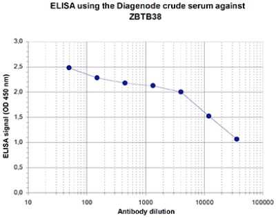 ELISA: ZBTB38 Antibody [NBP3-18641]